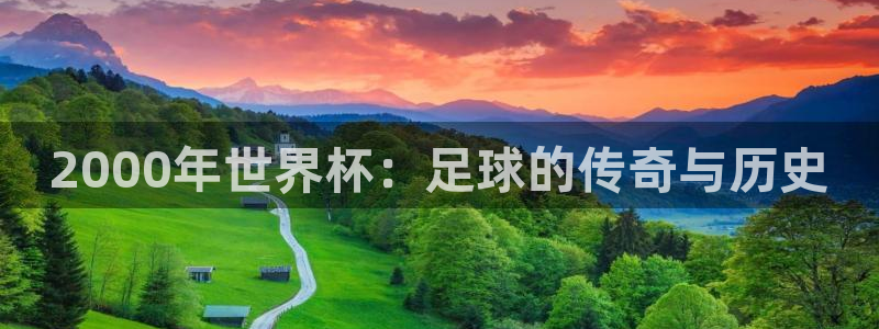 世界杯直播在线观看入口:2000年世界杯:足球的传奇与历史
