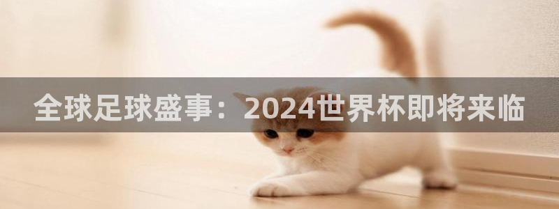 世界杯葡萄牙赛程:全球足球盛事:2024世界杯即将来临