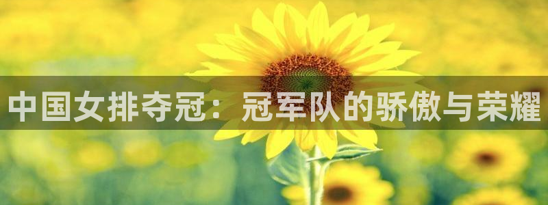 世界杯预赛赛程:中国女排夺冠:冠军队的骄傲与荣耀