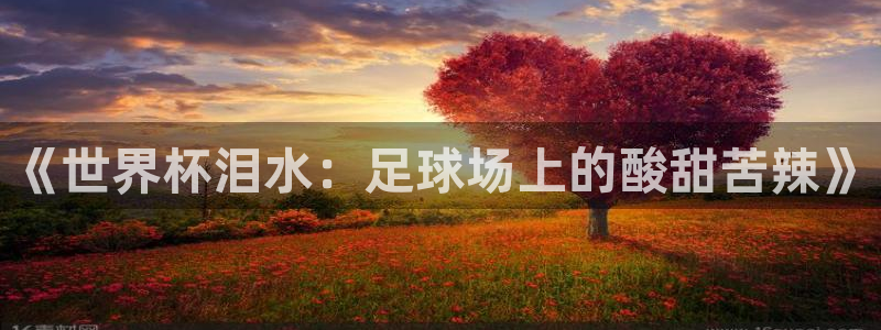 2026年足球世界杯赛程时间表:《世界杯泪水:足球场上的酸甜苦辣》