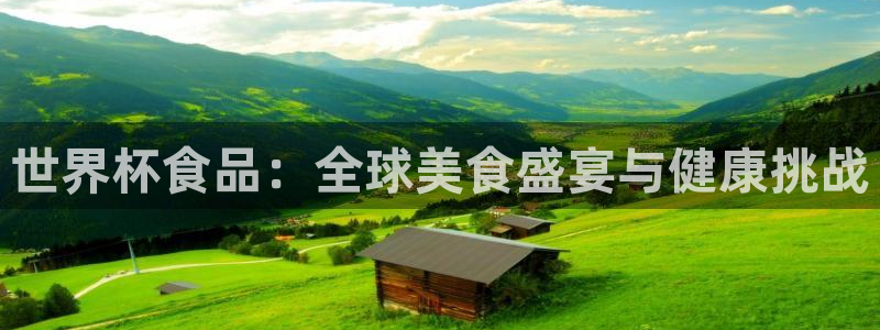 欧洲世界杯预选赛:世界杯食品:全球美食盛宴与健康挑战