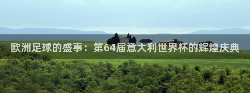 世界杯系列赛:欧洲足球的盛事:第64届意大利世界杯的辉煌庆典