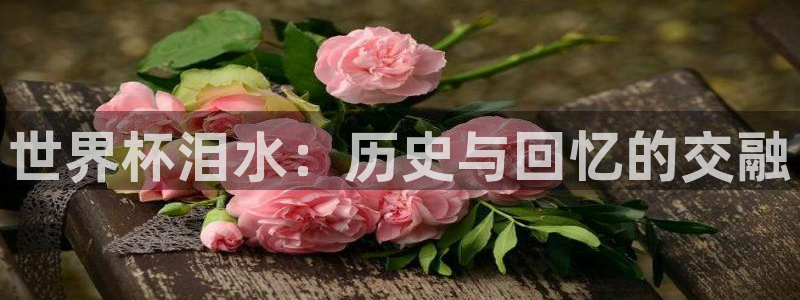 世界杯直播网站:世界杯泪水:历史与回忆的交融