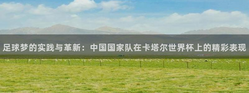世界杯直播网:足球梦的实践与革新:中国国家队在卡塔尔世界杯上的精彩表现