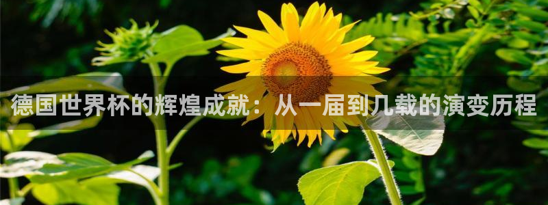 2026世界杯赛程表完整版:德国世界杯的辉煌成就:从一届到几载的演变历程